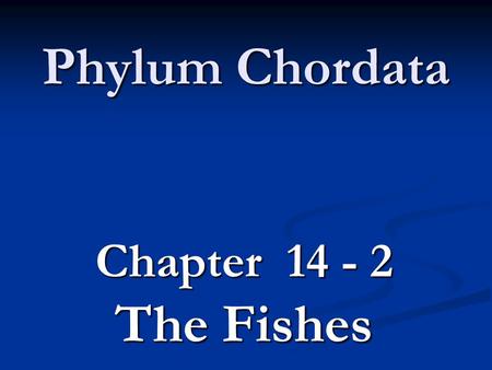 Phylum Chordata Chapter 14 - 2 The Fishes. Vertebrata– The Backboned Animals Characteristics Characteristics Most numerous & complex of Chordates Most.
