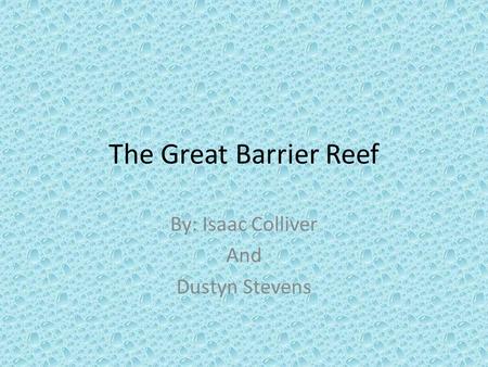 The Great Barrier Reef By: Isaac Colliver And Dustyn Stevens.