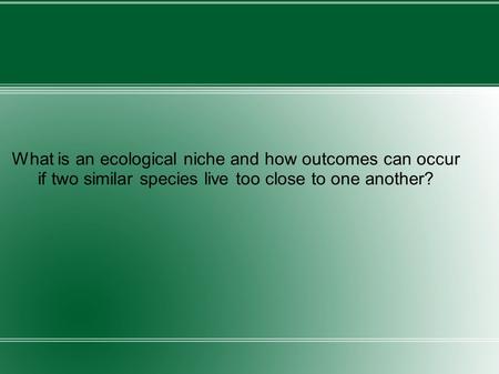What is an ecological niche and how outcomes can occur if two similar species live too close to one another?