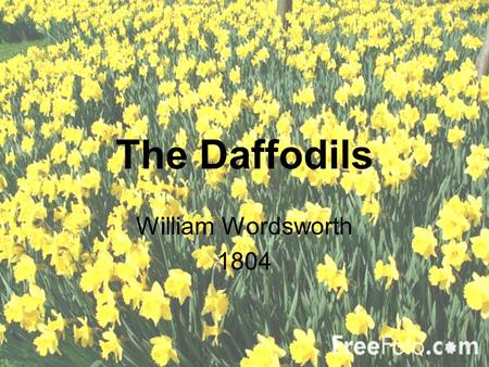 The Daffodils William Wordsworth 1804.