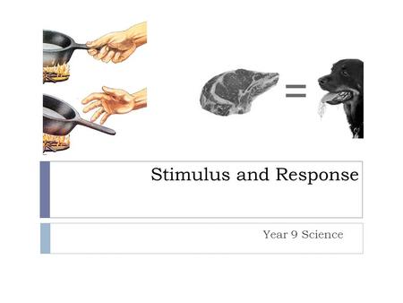 Stimulus and Response Year 9 Science. Any change in an organism’s environment that causes the organism to react. (“cause”) Stimuli (singular) can be:
