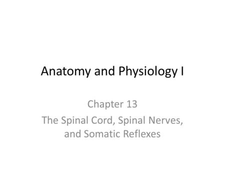 Anatomy and Physiology I