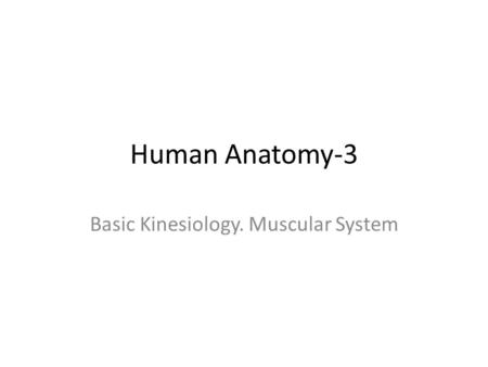 Basic Kinesiology. Muscular System