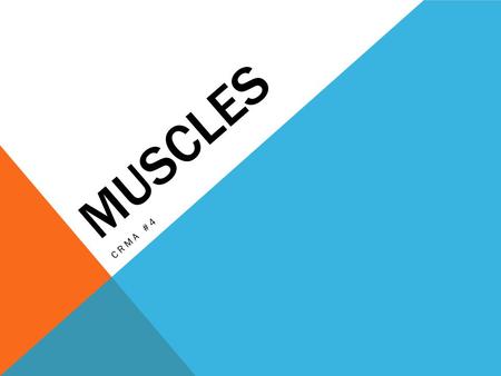 MUSCLES CRMA #4. What Are the Muscles and What Do They Do? Bones don't work alone they need help from the muscles and joints. Muscles pull on the joints,