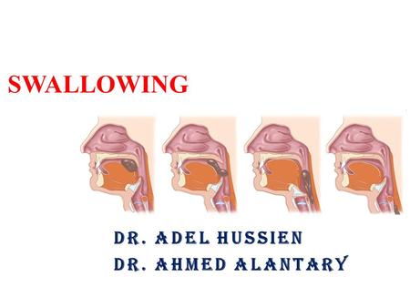 SWALLOWING DR. ADEL HUSSIEN DR. AHMED ALANTARY. Objectives: The student should know: - The normal swallowing process and its stages. - Mechanism of each.