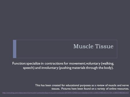 Muscle Tissue Function: specialize in contractions for movement; voluntary (walking, speech) and involuntary (pushing materials through the body).
