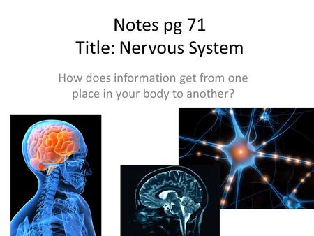 Notes pg 71 Title: Nervous System How does information get from one place in your body to another?