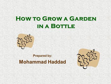 How to Grow a Garden in a Bottle Prepared by: Mohammad Haddad.
