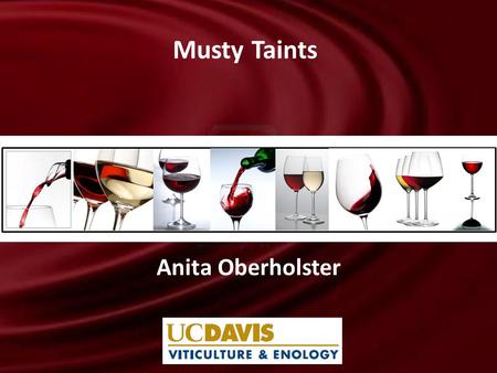 Anita Oberholster Musty Taints. Introduction: Musty Taints What off-odours are classified as musty taints? – Fungal, earthy, moldy, corky, mushroom or.