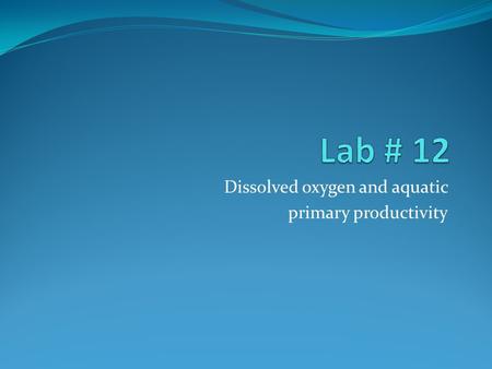 Dissolved oxygen and aquatic primary productivity.