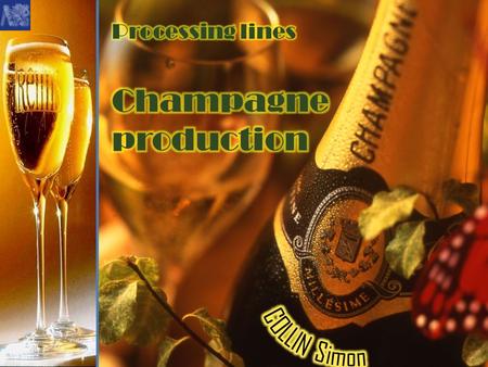 To obtain the name Champagne: The grapes must be harvest manually The harvesting must be done in one time to insure the homogeneity of the juice.