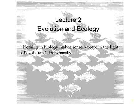 Lecture 2 Evolution and Ecology