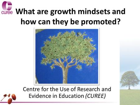 What are growth mindsets and how can they be promoted? Centre for the Use of Research and Evidence in Education (CUREE)