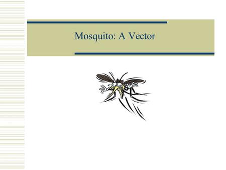 Mosquito: A Vector.