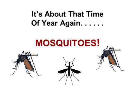 It’s About That Time Of Year Again...... MOSQUITOES !