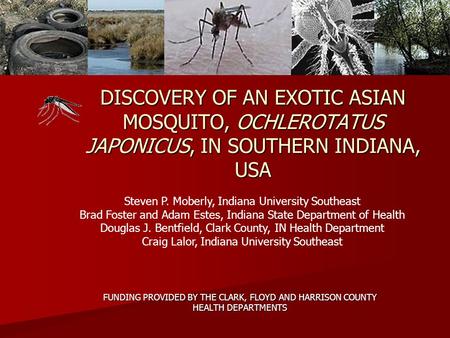 DISCOVERY OF AN EXOTIC ASIAN MOSQUITO, OCHLEROTATUS JAPONICUS, IN SOUTHERN INDIANA, USA FUNDING PROVIDED BY THE CLARK, FLOYD AND HARRISON COUNTY HEALTH.