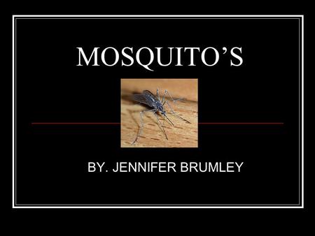 MOSQUITO’S BY. JENNIFER BRUMLEY. My Experience This past summer, every time I went outside, no matter what time of day it was, I got bit by mosquito’s.