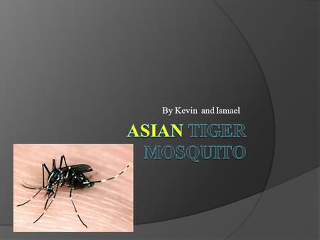 By Kevin and Ismael. Name of Species  Asian Tiger Mosquito  Scientific Name: Aedes Albopictus.