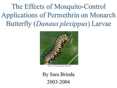 The Effects of Mosquito-Control Applications of Permethrin on Monarch Butterfly (Danaus plexippus) Larvae By Sara Brinda 2003-2004