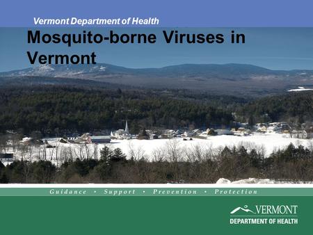 Mosquito-borne Viruses in Vermont