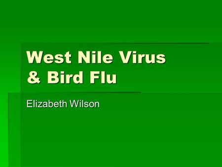 West Nile Virus & Bird Flu Elizabeth Wilson. What is West Nile Virus?  West Nile Virus is a disease that infects the brain and spinal cord by causing.
