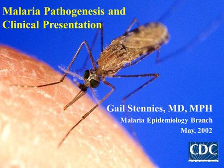 Malaria Pathogenesis and Clinical Presentation Gail Stennies, MD, MPH Malaria Epidemiology Branch May, 2002.