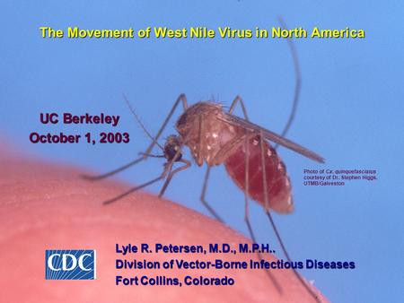 The Movement of West Nile Virus in North America UC Berkeley October 1, 2003 Lyle R. Petersen, M.D., M.P.H.. Division of Vector-Borne Infectious Diseases.