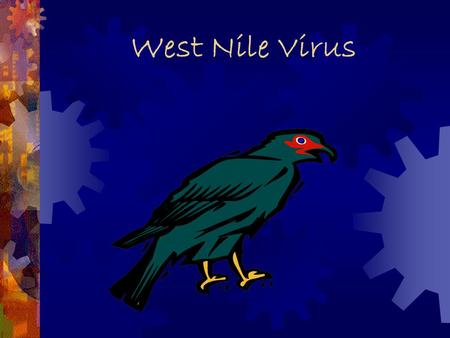 West Nile Virus Timeline  1937  First Case reported  1950  Virus studied in Egypt  1957  Outbreak in Israel  1960  Equine cases  1999  Appeared.