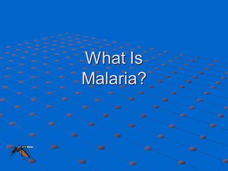 What Is Malaria?.