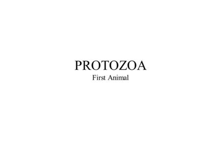 PROTOZOA First Animal.