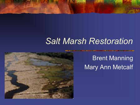 Salt Marsh Restoration Brent Manning Mary Ann Metcalf.