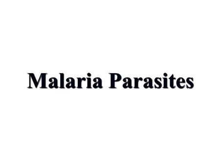 Malaria Parasites Dr. Gamal Allam.