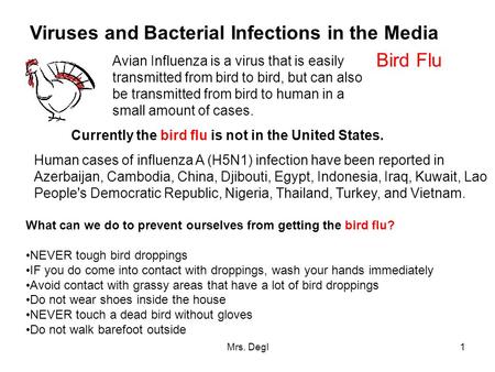Mrs. Degl1 Viruses and Bacterial Infections in the Media Bird Flu Avian Influenza is a virus that is easily transmitted from bird to bird, but can also.