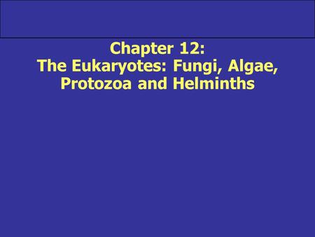Chapter 12: The Eukaryotes: Fungi, Algae, Protozoa and Helminths