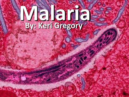 Malaria By: Keri Gregory. What is Malaria??? Malaria is an infectious disease that is cause by a protozoan parasite.
