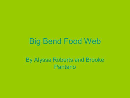 Big Bend Food Web By Alyssa Roberts and Brooke Pantano.