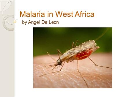 Malaria in West Africa by Angel De Leon. Map of West Africa.