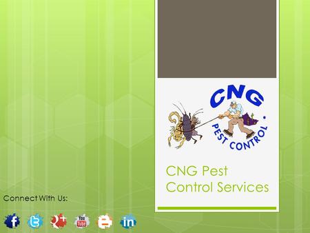 CNG Pest Control Services Connect With Us: OUR SERVICE:
