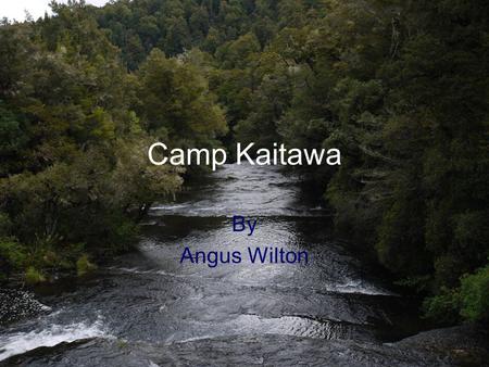 Camp Kaitawa By Angus Wilton. The morning started with a warm breeze as the Year 5’s headed off to Camp. Little did they now about the amazing adventures.