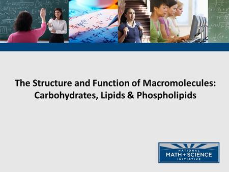 The Structure and Function of Macromolecules: Carbohydrates, Lipids & Phospholipids.