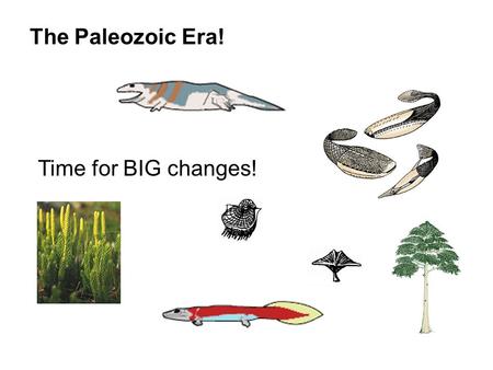 The Paleozoic Era! Time for BIG changes!.