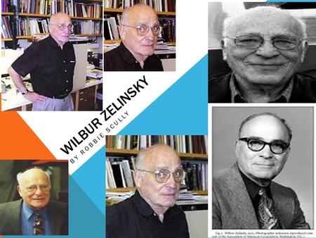 WILBUR ZELINSKY BY ROBBIE SCULLY. QUICK BIOGRAPHY Wilbur Zelinsky was born in Illinois on December 21st 1921. He was a student at the University of California,