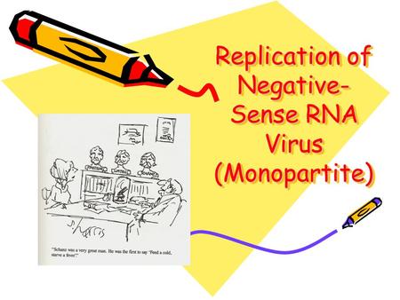 Replication of Negative- Sense RNA Virus (Monopartite)