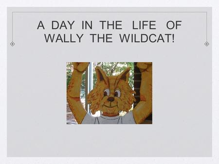 A DAY IN THE LIFE OF WALLY THE WILDCAT!. WALLY ARRIVES TO CLASS LATE. WALLY NEEDS TO STOP IN THE OFFICE TO GET A PASS. SINCE WALLY IS ONLY 4 MINUTES LATE.