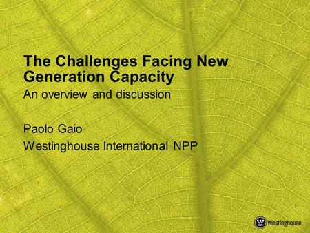 1 The Challenges Facing New Generation Capacity An overview and discussion Paolo Gaio Westinghouse International NPP.