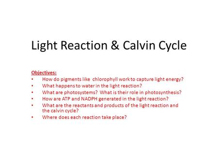 Light Reaction & Calvin Cycle Objectives: How do pigments like chlorophyll work to capture light energy? What happens to water in the light reaction? What.