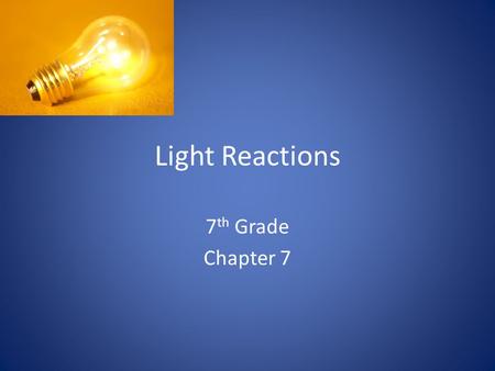 Light Reactions 7 th Grade Chapter 7. Colors in the world The color of the objects we see in the natural world is a result of the way objects interact.