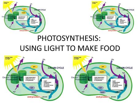 PHOTOSYNTHESIS: USING LIGHT TO MAKE FOOD. PHOTOSYNTHESIS: USING LIGHT ENERGY TO MAKE FOOD HETEROTROPHS VS AUTOTROPHS? AUTOTROPHS (A.K.A ?) – DEFINITION?