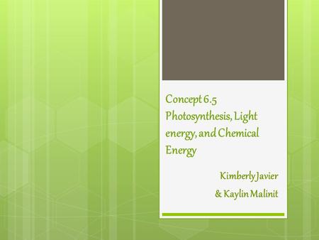 Concept 6.5 Photosynthesis, Light energy, and Chemical Energy Kimberly Javier & Kaylin Malinit.