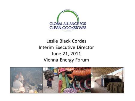 Leslie Black Cordes Interim Executive Director June 21, 2011 Vienna Energy Forum.